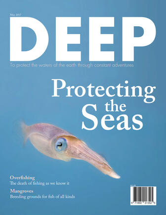 Deep Protecting the Seas article mock magazine layout.